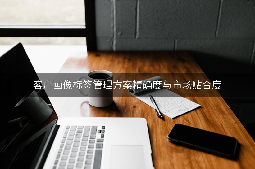 客户画像标签治理规划精确杜纂市场贴合度